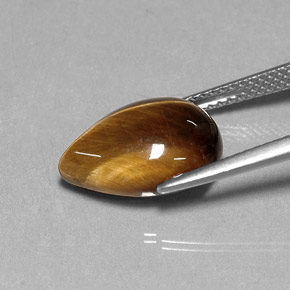Tiger's Eye Gemstone in 13.8 x 10.1 mm Size for Sale, Tiger's Eye Stone in Gold Brown Color