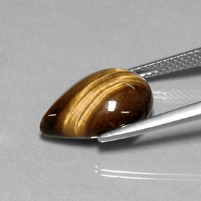 Tiger's Eye Gemstone in 14.2 x 10.2 mm Size for Sale, Tiger's Eye Stone in Gold Brown Color