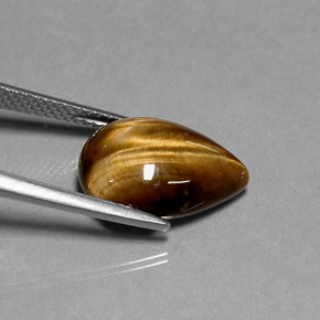 Tiger's Eye Gemstone in 14.2 x 10.3 mm Size for Sale, Tiger's Eye Stone in Gold Brown Color