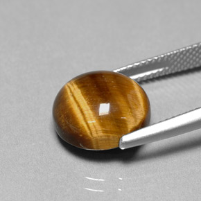 Tiger's Eye Gemstone in 12 mm (calibrated) Size for Sale, Tiger's Eye Stone in Gold Brown Color