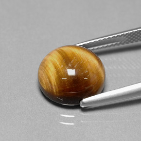 Tiger's Eye Gemstone in 12 mm (calibrated) Size for Sale, Tiger's Eye Stone in Gold Brown Color