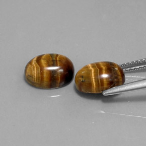 Tiger's Eye Gemstone in 9 x 7 mm (calibrated) Size for Sale, Tiger's Eye Stone in Gold Brown Color