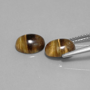 Tiger's Eye Gemstone in 9 x 7 mm (calibrated) Size for Sale, Tiger's Eye Stone in Gold Brown Color