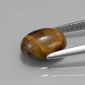 Tiger's Eye Gemstone in 9 x 7 mm (calibrated) Size for Sale, Tiger's Eye Stone in Gold Brown Color