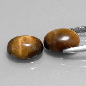 Tiger's Eye Gemstone in 8.7 x 6.7 mm Size for Sale, Tiger's Eye Stone in Gold Brown Color