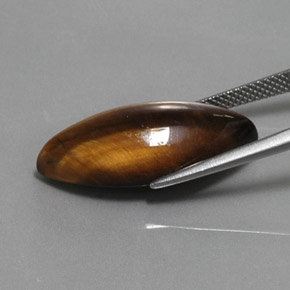 Tiger's Eye Gemstone in 24.6 x 12 mm Size for Sale, Tiger's Eye Stone in Gold Brown Color