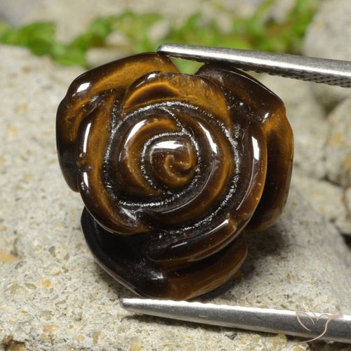 11.81ct Natural Gingerbread Brown Tiger's Eye, Flower Cut, Opaque