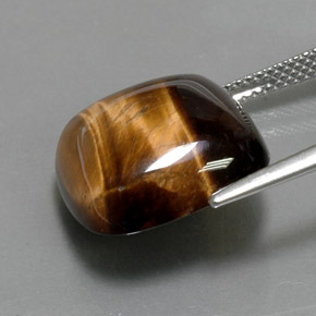 Tiger's Eye Gemstone in 15.3 x 15.3 mm Size for Sale, Tiger's Eye Stone in Gold Brown Color