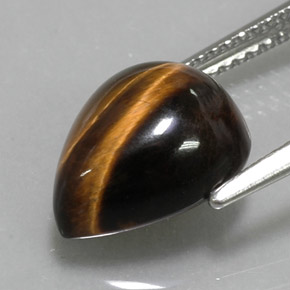 Tiger's Eye Gemstone in 11.8 x 9.6 mm Size for Sale, Tiger's Eye Stone in Gold Brown Color