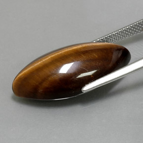 Tiger's Eye Gemstone in 24.4 x 11.8 mm Size for Sale, Tiger's Eye Stone in Gold Brown Color