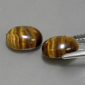 Tiger's Eye Gemstone in 8.7 x 6.7 mm Size for Sale, Tiger's Eye Stone in Gold Brown Color