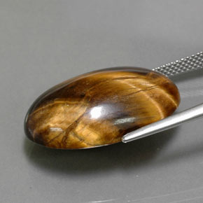 Tiger's Eye Gemstone in 23.8 x 16.3 mm Size for Sale, Tiger's Eye Stone in Gold Brown Color