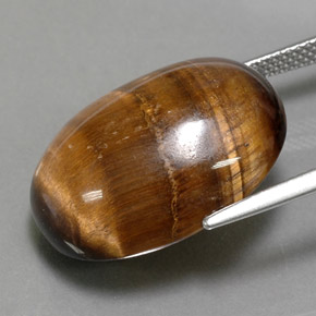 Tiger's Eye Gemstone in 21.7 x 16.8 mm Size for Sale, Tiger's Eye Stone in Gold Brown Color