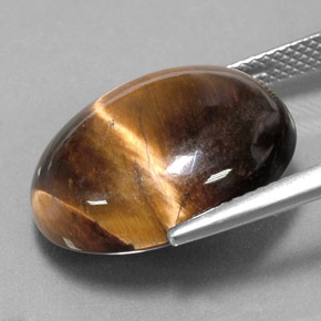 Tiger's Eye Gemstone in 18.6 x 15 mm Size for Sale, Tiger's Eye Stone in Gold Brown Color