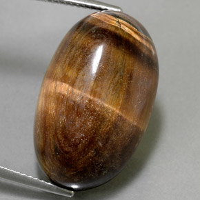 Grayish Green Tiger's Eye Gem - 30ct Oval Cabochon (ID: 326425)