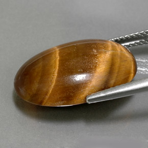 Tiger's Eye Gemstone in 19.3 x 13.3 mm Size for Sale, Tiger's Eye Stone in Gold Brown Color