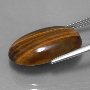 Tiger's Eye Gemstone in 21.1 x 13.8 mm Size for Sale, Tiger's Eye Stone in Gold Brown Color