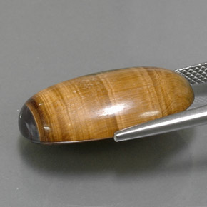 Tiger's Eye Gemstone in 23.6 x 14.7 mm Size for Sale, Tiger's Eye Stone in Gold Brown Color