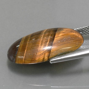Tiger's Eye Gemstone in 21.6 x 13 mm Size for Sale, Tiger's Eye Stone in Gold Brown Color
