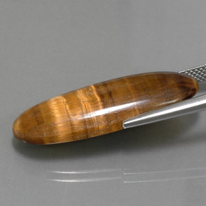 Tiger's Eye Gemstone in 31.5 x 12.1 mm Size for Sale, Tiger's Eye Stone in Gold Brown Color
