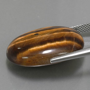 Tiger's Eye Gemstone in 23.9 x 18 mm Size for Sale, Tiger's Eye Stone in Gold Brown Color