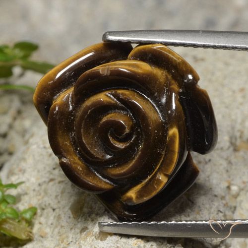12.98ct Natural Warm Brown Tiger's Eye, Flower Cut, Opaque