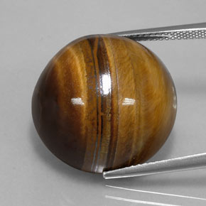 Medium Brown Tiger's Eye Gem - 35ct Round Cabochon (ID: 328976)