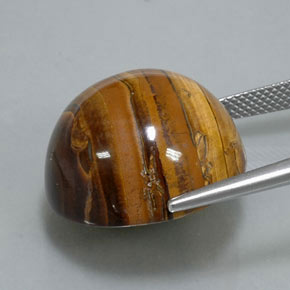 Tiger's Eye Gemstone in 20.1 mm Size for Sale, Tiger's Eye Stone in Gold Brown Color