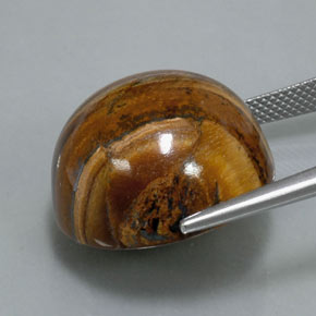 Tiger's Eye Gemstone in 20.4 mm Size for Sale, Tiger's Eye Stone in Gold Brown Color