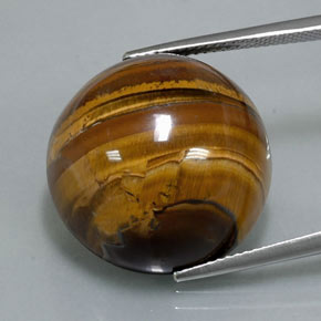Gingerbread Brown Tiger's Eye Gem - 36.7ct Round Cabochon (ID: 328983)