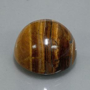 36.50 ct Brown Tiger's Eye Stone, Natural Tiger's Eye in Round Cabochon Shape for Sale