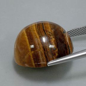Tiger's Eye Gemstone in 20 mm (calibrated) Size for Sale, Tiger's Eye Stone in Warm Brown Color