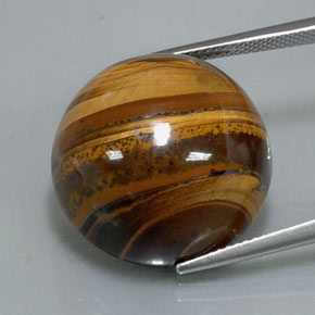 37.72 ct Brown Tiger's Eye Gemstone, Tiger's Eye Gem in Round Cabochon Shape for Sale.