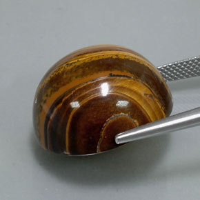 Tiger's Eye Gemstone in 20.2 mm Size for Sale, Tiger's Eye Stone in Gold Brown Color