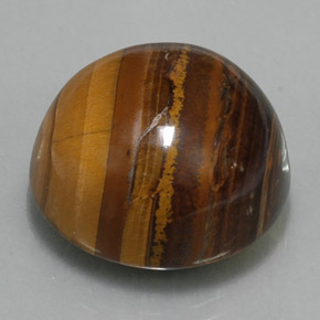 36.89 ct Brown Tiger's Eye Stone, Natural Tiger's Eye in Round Cabochon Shape for Sale