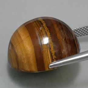 Tiger's Eye Gemstone in 20.2 mm Size for Sale, Tiger's Eye Stone in Gold Brown Color