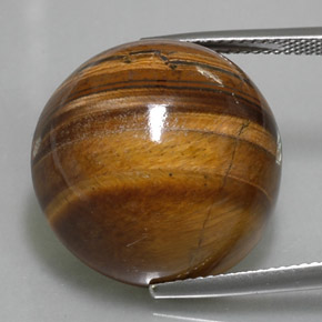 37.9ct Round Cabochon Gold Brown Tiger's Eye Gem for sale 37.9ct Round Cabochon Gold Brown Tiger's Eye Gem (ID: 329092)