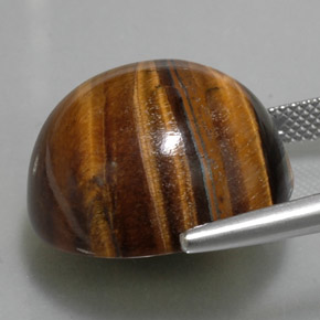 Tiger's Eye Gemstone in 20.1 mm Size for Sale, Tiger's Eye Stone in Gold Brown Color