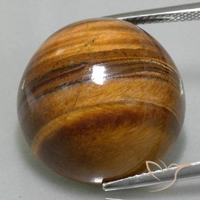 36.73ct Natural Medium Brown Tiger's Eye, Round, Opaque