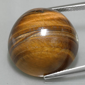 37.1ct Round Cabochon Gold Brown Tiger's Eye Gem for sale 37.1ct Round Cabochon Gold Brown Tiger's Eye Gem (ID: 329231)