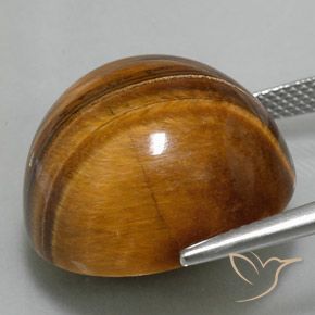 Tiger's Eye Gemstone in 20 mm (calibrated) Size for Sale, Tiger's Eye Stone in Medium Brown Color