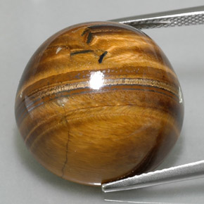 37.4ct Round Cabochon Gold Brown Tiger's Eye Gem for sale 37.4ct Round Cabochon Gold Brown Tiger's Eye Gem (ID: 329235)