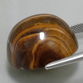 Tiger's Eye Gemstone in 20.1 mm Size for Sale, Tiger's Eye Stone in Gold Brown Color