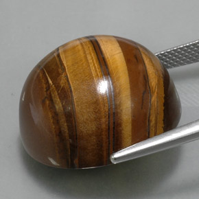 Tiger's Eye Gemstone in 20.3 mm Size for Sale, Tiger's Eye Stone in Gold Brown Color