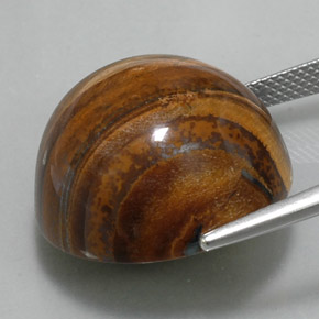 Tiger's Eye Gemstone in 20.3 mm Size for Sale, Tiger's Eye Stone in Gold Brown Color