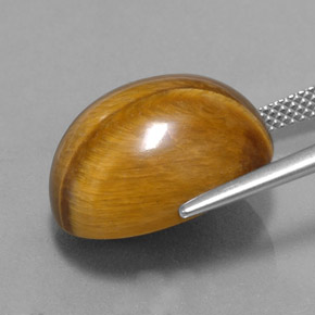 Tiger's Eye Gemstone in 17.3 x 13.5 mm Size for Sale, Tiger's Eye Stone in Gold Brown Color