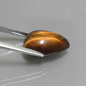 Tiger's Eye Gemstone in 14.2 x 10.2 mm Size for Sale, Tiger's Eye Stone in Gold Brown Color