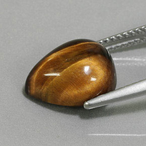 Tiger's Eye Gemstone in 11.7 x 9.6 mm Size for Sale, Tiger's Eye Stone in Gold Brown Color