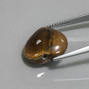 Tiger's Eye Gemstone in 14.3 x 13.1 mm Size for Sale, Tiger's Eye Stone in Gold Brown Color