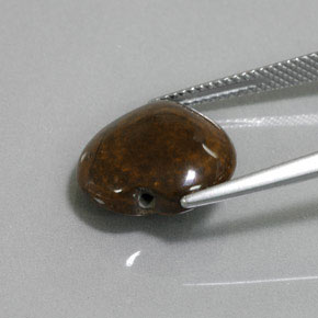 Tiger's Eye Gemstone in 14.2 x 13.6 mm Size for Sale, Tiger's Eye Stone in Gold Brown Color